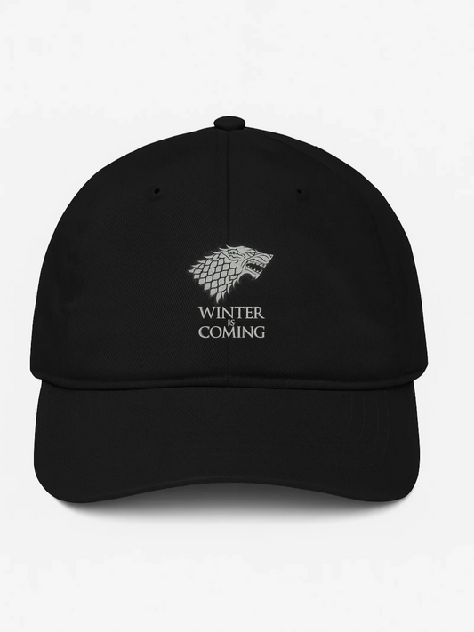 Game of Thrones “Winter Is Coming” Cap – DTF Silver Print