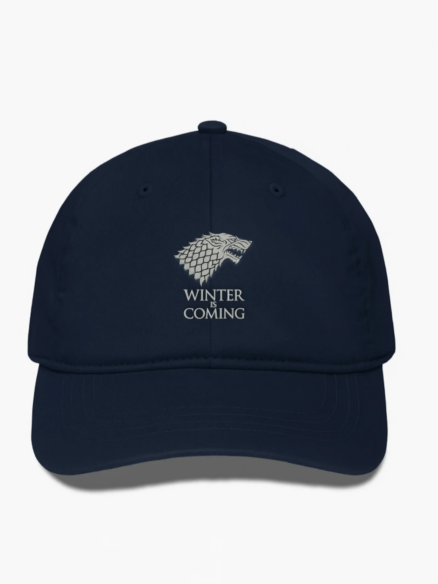 Game of Thrones “Winter Is Coming” Cap – DTF Silver Print