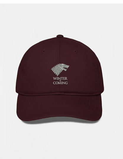 Game of Thrones “Winter Is Coming” Cap – DTF Silver Print