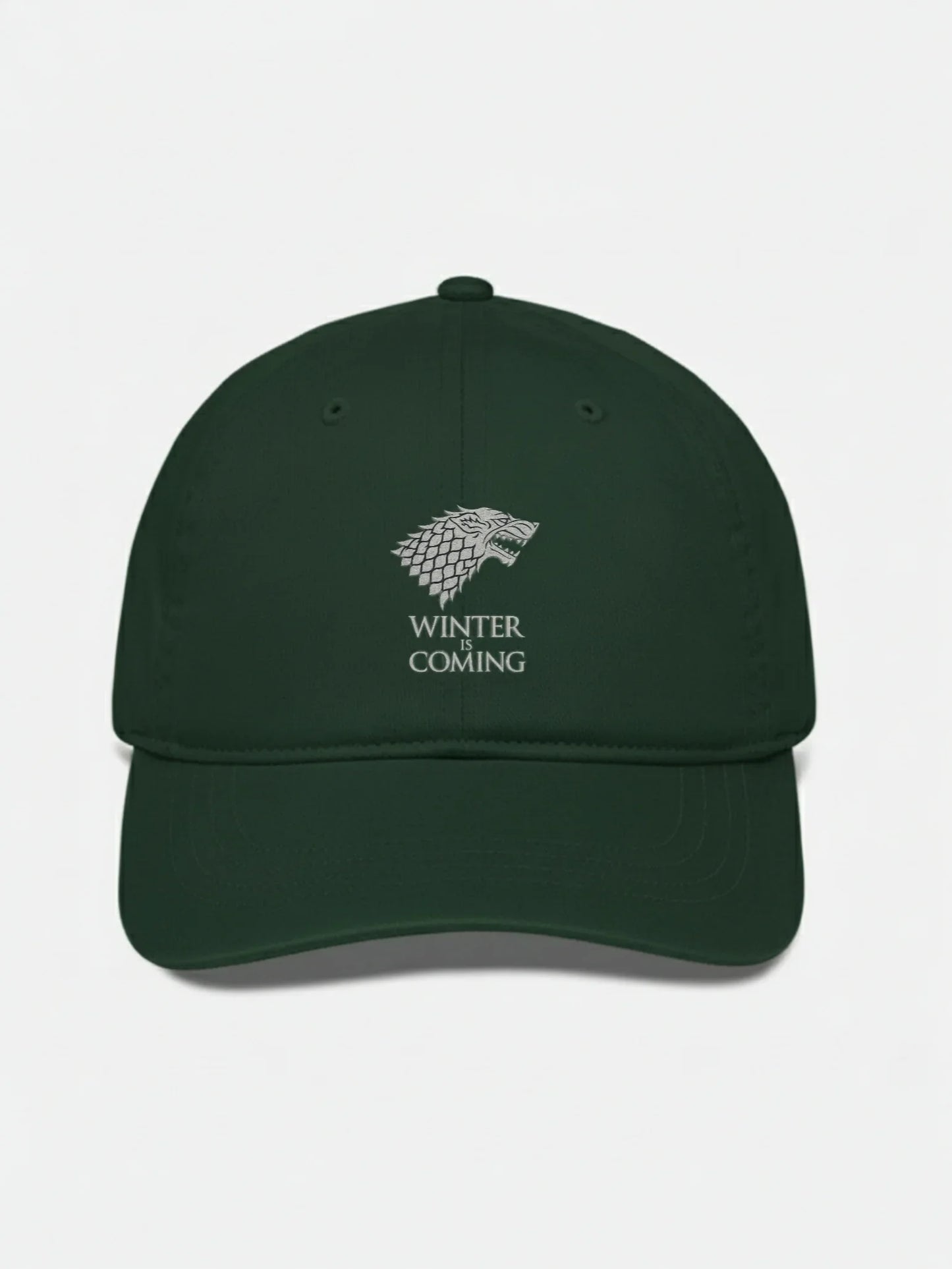 Game of Thrones “Winter Is Coming” Cap – DTF Silver Print