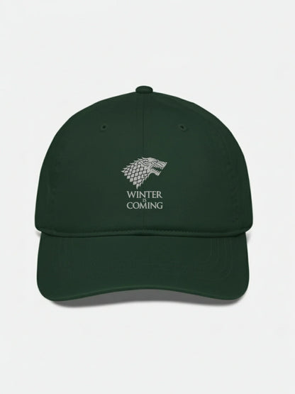 Game of Thrones “Winter Is Coming” Cap – DTF Silver Print